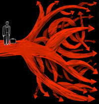 Components of Credit Spreads and Their Importance
