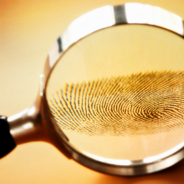 Fraud and Deception Detection: Five Language Fingerprints