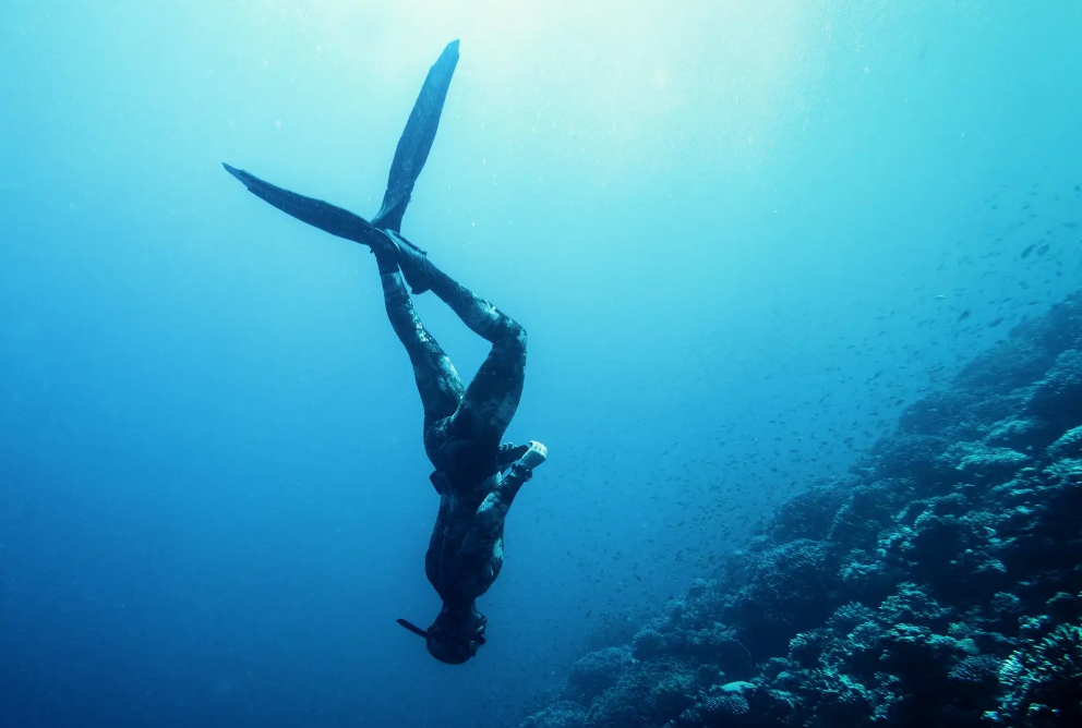 Use Case 3: Deeper Dive Securities Analysis